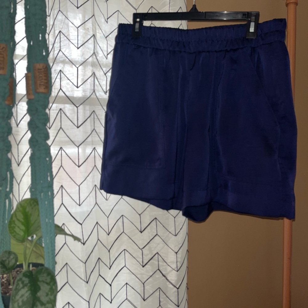 a.new.day L Silk Shorts